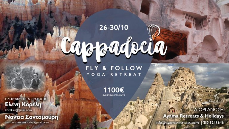 FLY AND FOLLOW